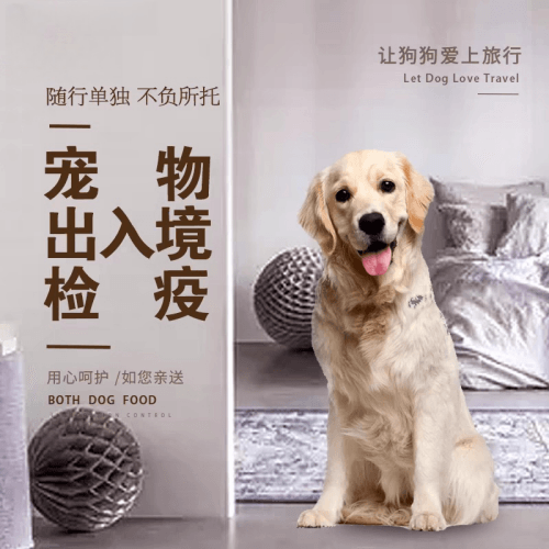 乌兰察布市宠物托运到哥伦比亚猫狗宠物入境规定和