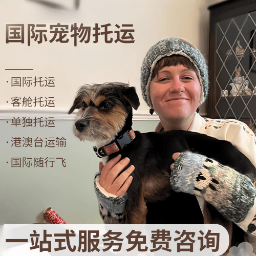 乌兰察布市国际宠物托运到阿根廷宠物入境规定和要
